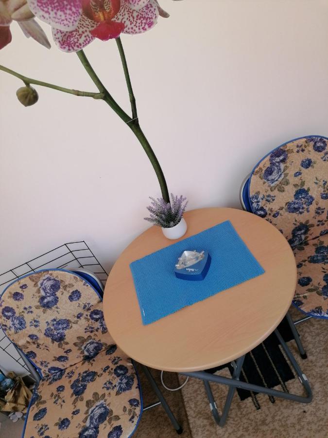 Apartman Nena Nova Varoš Εξωτερικό φωτογραφία